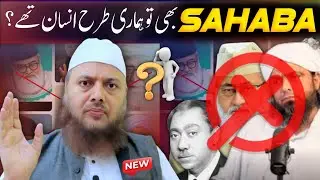 Sahaba hamari tarah insan the❓️Syed Qutub - Syed Maududi -Salman Nadwi - engineer Muhammad ali mirza