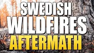 Swedish WILDFIRES The AFTERMATH