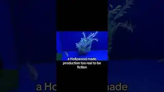 Poetry- Hollywood film #poetry #nature #hollywood #deep #fyp