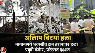 Alibag Leopard Attack | नागावमध्ये दोन तरुणांवर बिबट्याचा हल्ला | Amit Vartak Serious | Raigad News