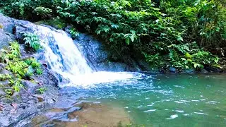 Peaceful Mountain River for Evening Rest