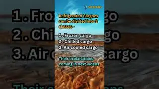❄️ Refrigerated Cargo Explained! How Cold Chain Logistics Keeps Goods Fresh 🚛🧊