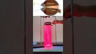 Convergent or convex lens #foryou #reflection #fypシ゚ #science #lens #shorts #short