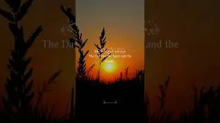 Quran the way of life #quranmajeed #messageofislam #tilawatequran #quranverses #quranquotes #shorts