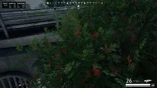 Vigor proof of Cross-platform cheating and,Teaming.