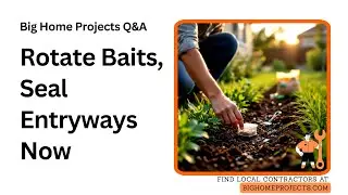Seasonal Ant Bait Rotation Lawn Perimeter Strategy