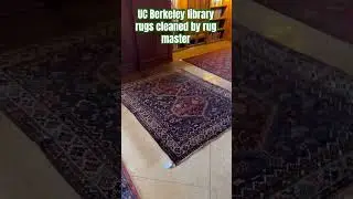 Uc Berkeley library rugs cleaned by rug master 5107040460 #rugcleaning  #ucberkeley #rugrepair