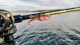 Catching Over 30 Spotted Bay Bass During The Winter