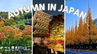 Japan’s Autumn Leaves Are Even Better Than Cherry Blossoms!