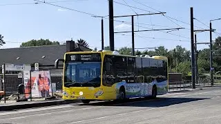 bus 240 Berlin von gottlindestra&szlig;e bis Paul Junius Stra&szlig;e