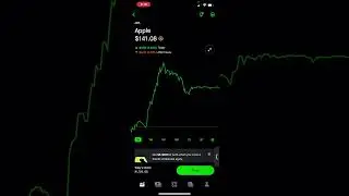 My Stock Portfolio is up $13,000 Today