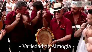 Panda de verdiales El Capit&aacute;n Feria de M&aacute;laga 2022