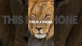 This Isn&rsquo;t a Camera &mdash; It&rsquo;s a Phone !!
