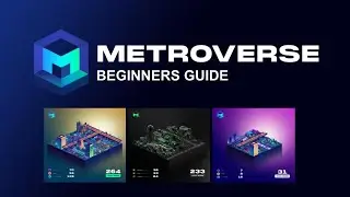 The Metroverse: Beginners Guide