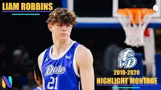 Liam Robbins Drake Bulldogs Transfer 2019 - 2020 Highlight Montage | Next Ones