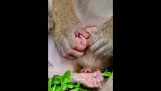 what happened on baby luno?......