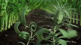 Syngenta-Acuron - 
