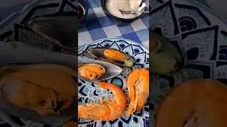 Food in Greece. Traditional food in Greece.