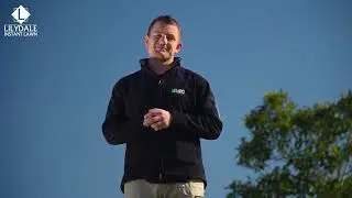 Do you need a green lawn this winter?
