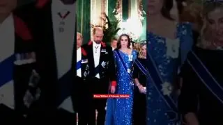 THE PRINCE AND PRINCESS OF WALES ATTEND THE STATE BANQUET #shorts #princesscat #princewilliam