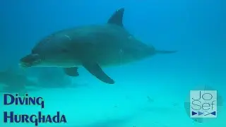 Scuba Diving Hurghada | Red Sea Egypt | 2025