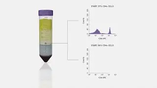 Cell Isolation in One Spin Using SepMate&trade; Tubes and RosetteSep&trade; Cell Separation Reagents