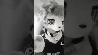Adopt artist moment  #furry #kemono #fursona #kemonosuit #kemonofursuit #fursuit #fursuiter