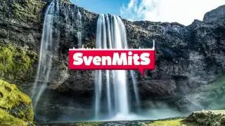 Seltix Intro Song (MNEK & Zara Larsson - Never Forget You [Airia Remix])