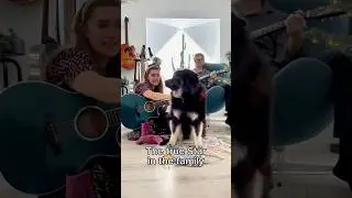 The true star of our Family #shortsvideo #shorts #shortsviral