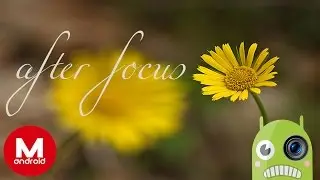 After Focus (MegaPictures)