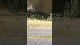 #forestfire  #406