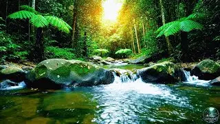 Calm Forest River Ambience 🌿 Flowing Water Sounds for Deep Sleep & Relaxation