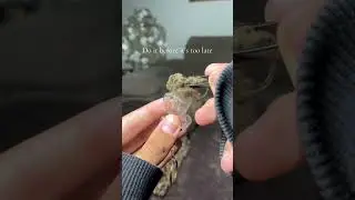 This dog keychain it&rsquo;s the best gift for every dog owner 🐾❤️