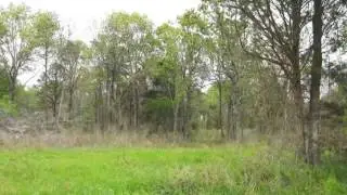 Homes for Sale - Lot 5 CR 1670 Mount Pleasant TX 75455 - Dwight Elledge
