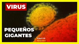 🟢 VIROLOGIA - EL FASCINANTE MUNDO DE LOS VIRUS 🦠