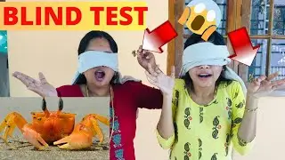 BLIND TEST || Funny game || mallu fizz #funny #blindtest