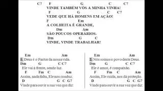 VINDE TAMBÉM VÓS A MINHA VINHA (*Cifras na Descrição)