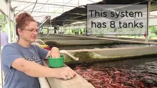 Aquaponics Ministry in Togo 2019