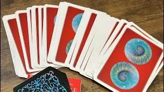 Daily Oracle card reading. Cosmic guidance, Oracle. Don&rsquo;t stop; a miracle is around the corner.