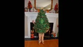 Christmas Tree Costume... work in progress
