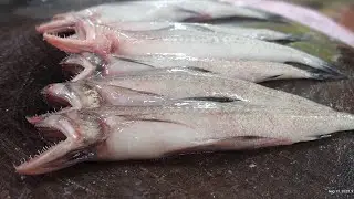Bombil ( Bombay duck ) fish cutting skills boneless