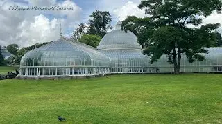 Glasgow Botanic Gardens | Beautiful place to visit in Glasgow