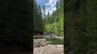 The PNW