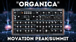 Novation Peak/Summit - 