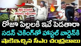 CM Chandrababu Sudden Inspection : Praja Theerpu