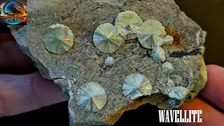The Crystal Echoes -  Wavellite