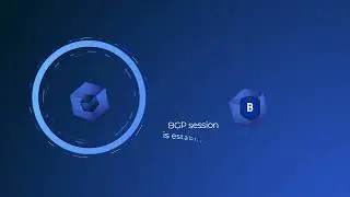 Baffin Bay Networks - Protect your infrastructure using BGP and Routed DSR