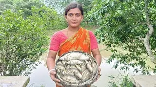 আজ পুকুর থেকে মাছ ধরে রান্না করে খাওয়া-দাওয়া করলাম! Pond fishing || Nandita Sundarban life