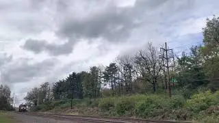 NS 202