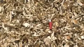 Starchl MK 74 Drummed Wood Chipper - Willow Chipping Demonstration - Northern Ireland